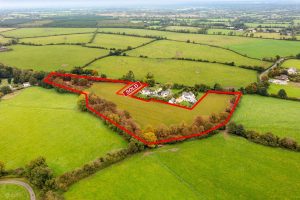 Kilcloon Lawns 5